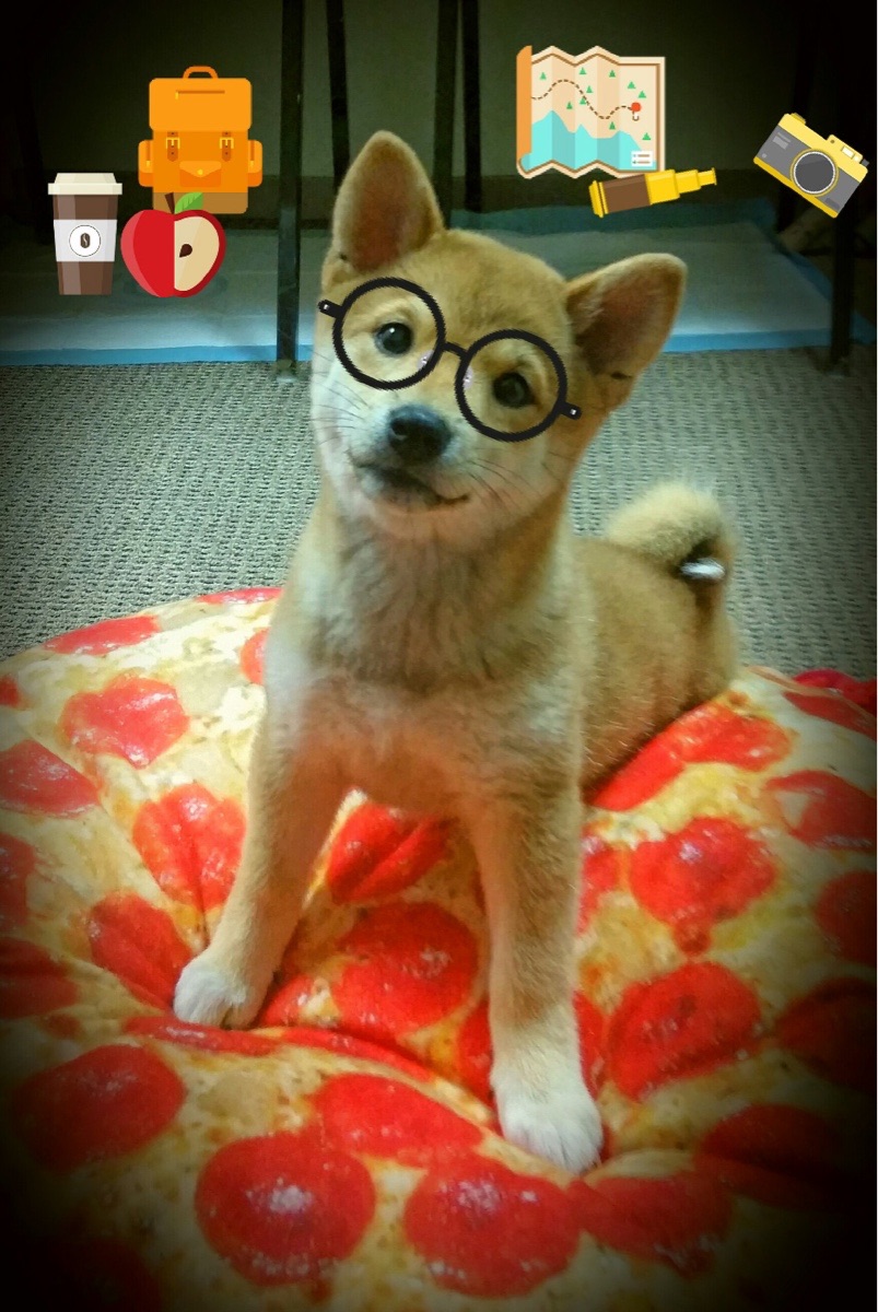 内线统治力谁能称霸篮下，内线作战是什么意思