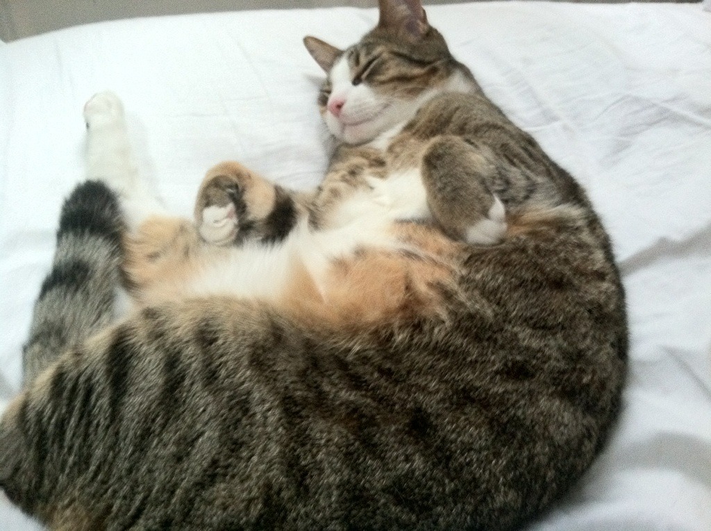 开云体育在线入口-划水深度差异揭示中美战术倾向，中美滑水对抗赛