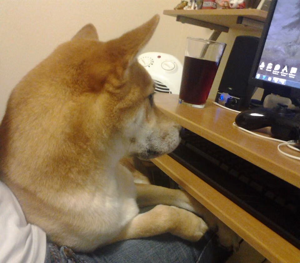 中国男篮主打团队篮球逐步淡化个人英雄主义，中国男篮20位杰出人物