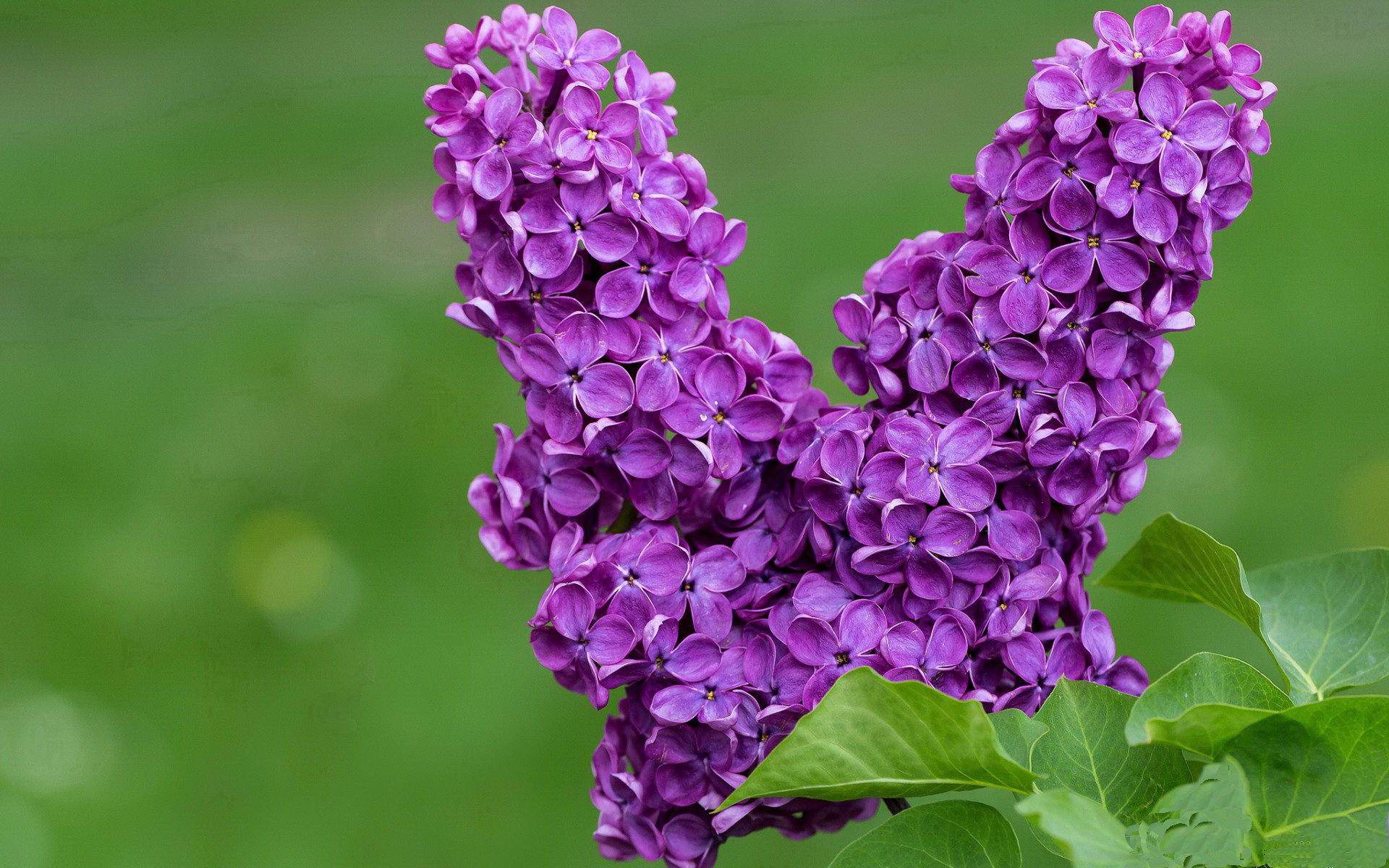 中超中场核心角色更加关键掌控比赛节奏和攻守转换，中超阶段
