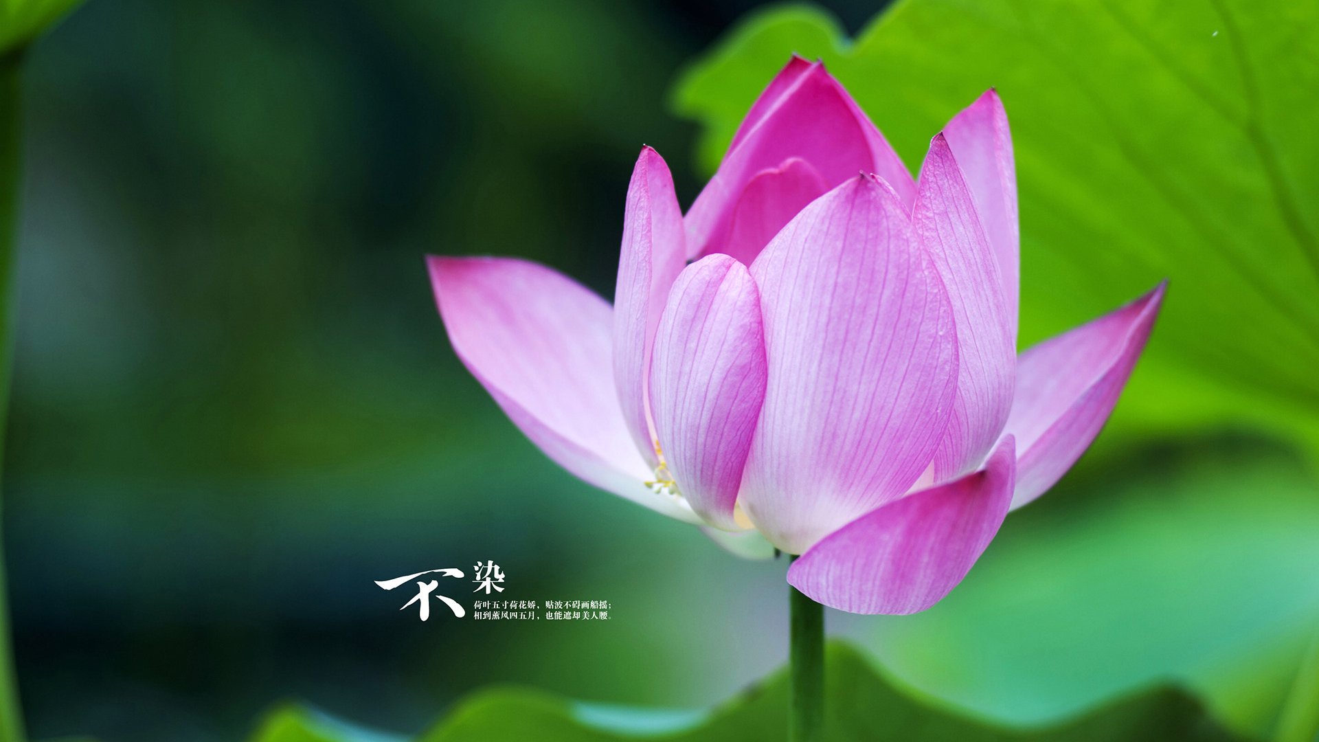 主教练展望下阶段赛程坦言挑战与机遇并存必须全力以赴，主教练上场比赛