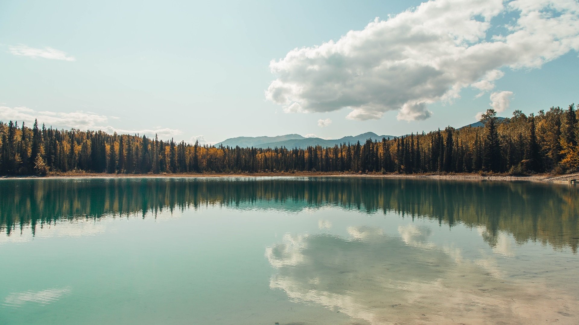 乔治·巴尔：全黑队的“防守型中场”，他的拦截总是及时且精准
