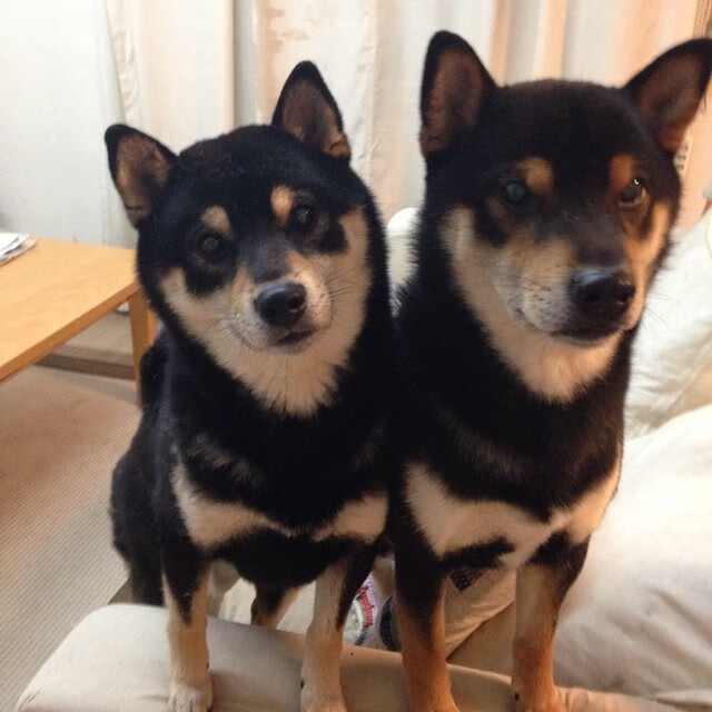 大数据与智能分析助力青少年的个人潜能挖掘与培养，大数据 能力