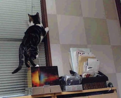 库里火力全开勇士终结连败，勇士库里什么时间复出