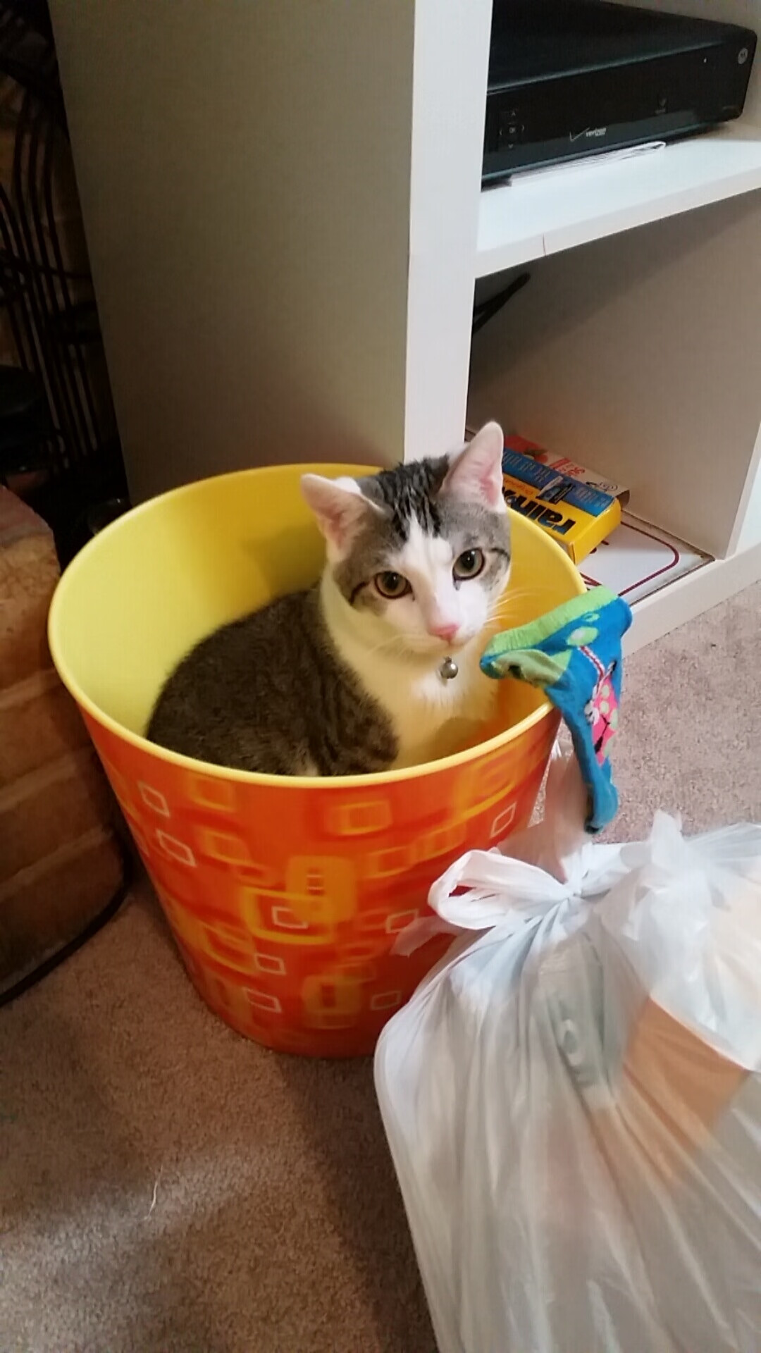 林丹亮相羽球论坛分享成长经历,林丹羽毛球完整比赛