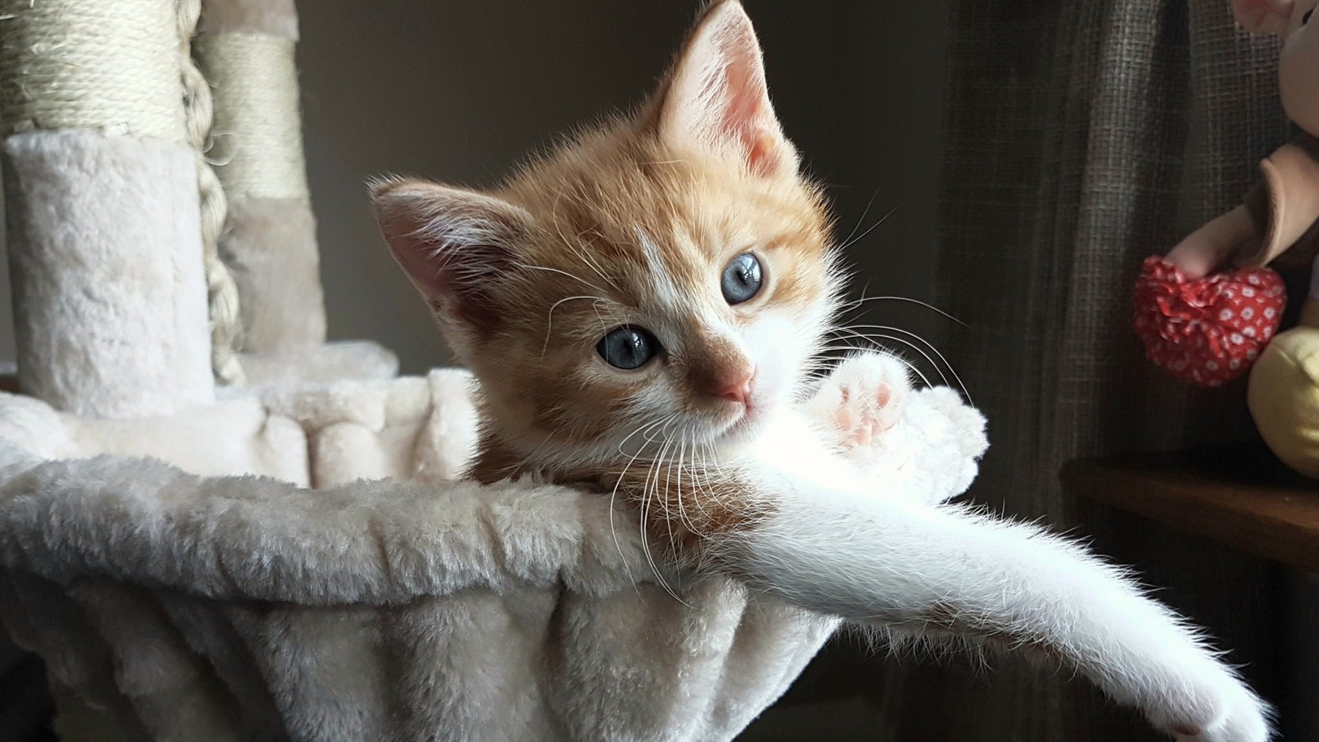 球队核心伤缺，替补球员能否挺身而出？，球员替补是指允许一名球员退场