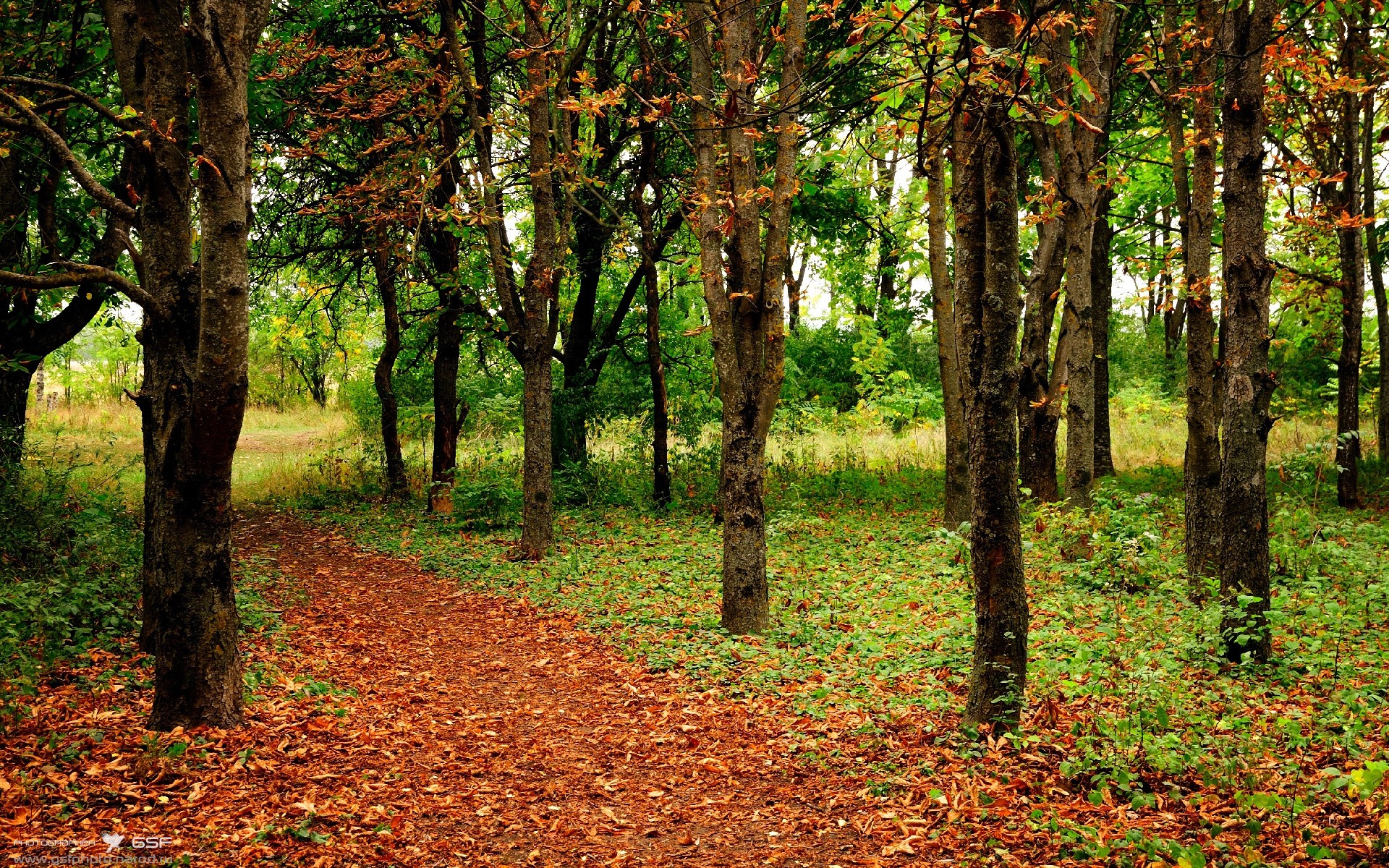 男篮训练注重半场阵地战术布置增强比赛控制力，男篮打球