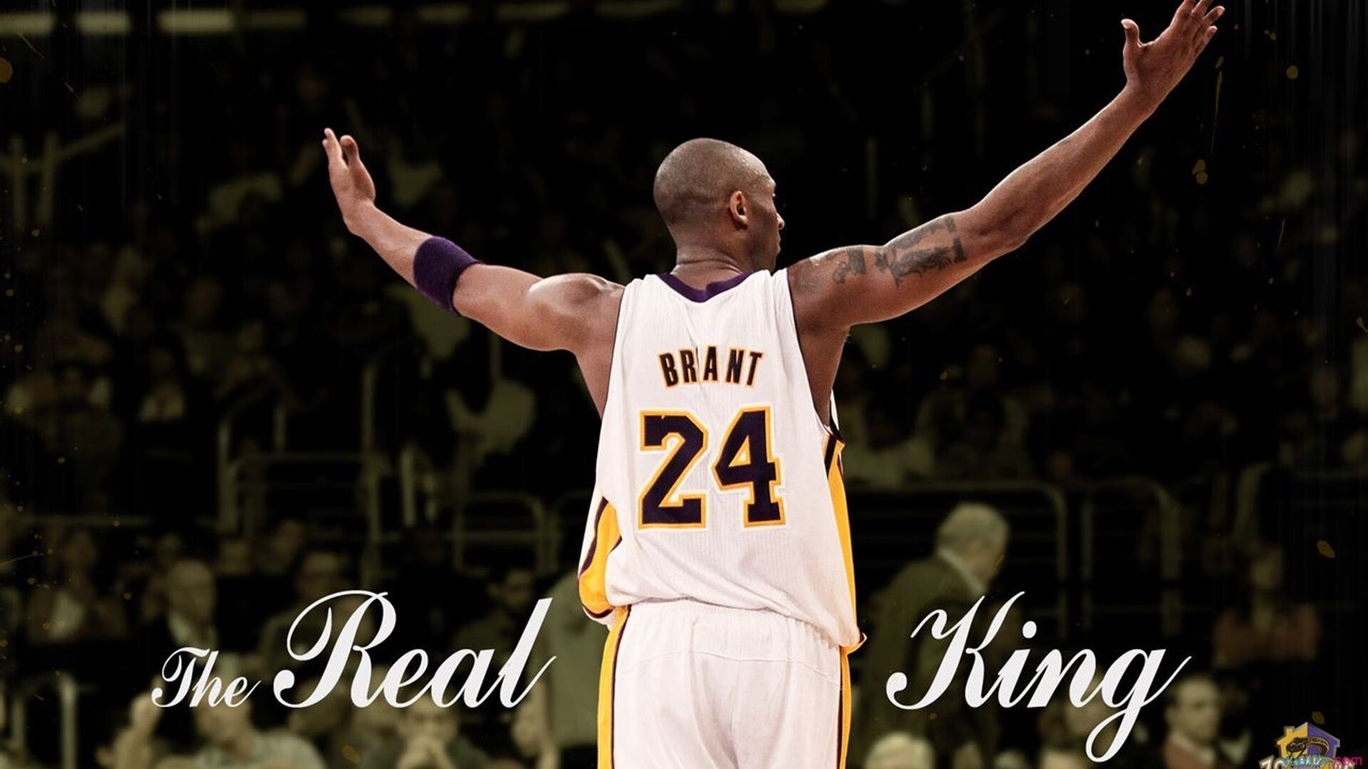 开云·体育官网APP下载-从岌岌可危到柳暗花明，海牛保级只剩最后一步，海牛濒危等级